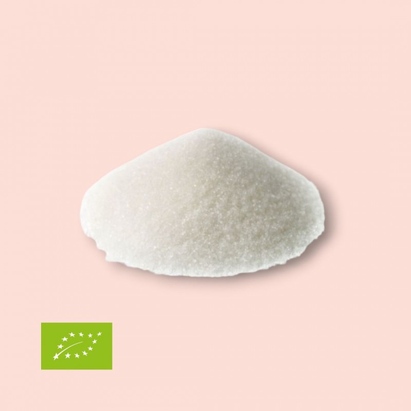 Azcar de Agave Bio 50gr
